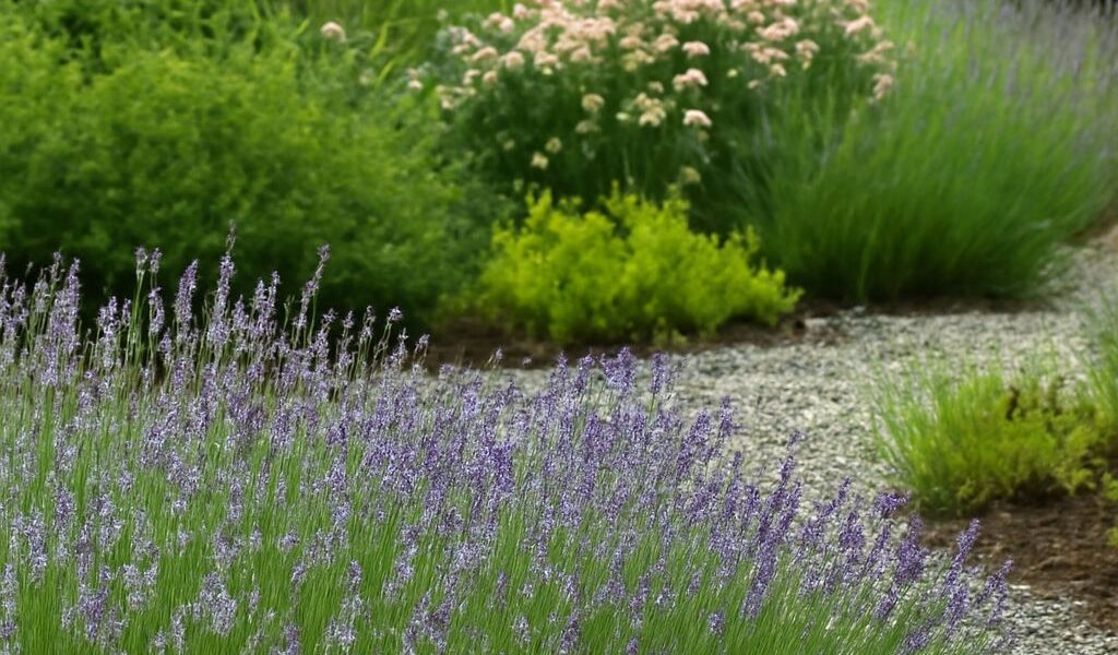 Herb containers and a small raised garden bed