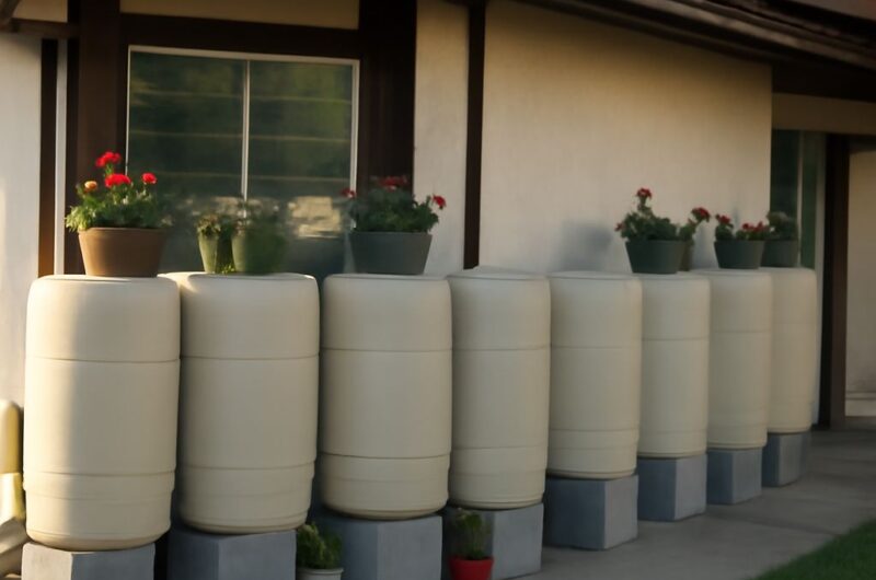Roof runoff barrel with screened inlet, overflow, and downspout connection