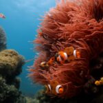 A vibrant coral reef teeming with marine life