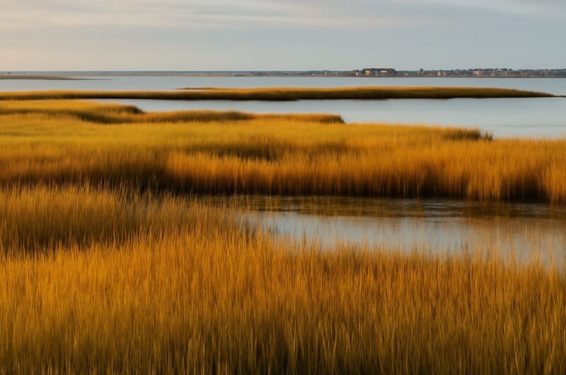 A scenic view of a salt marsh landscape