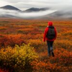 A vast tundra landscape with sparse vegetation and icy ground