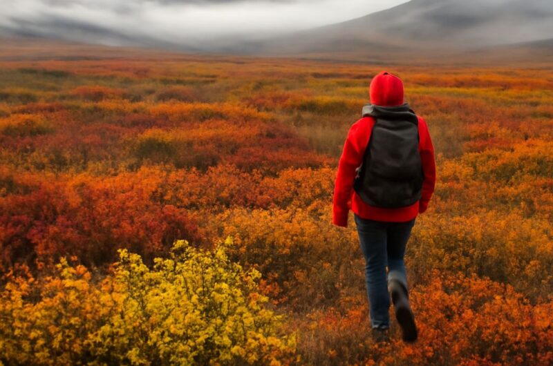 A vast tundra landscape with sparse vegetation and icy ground