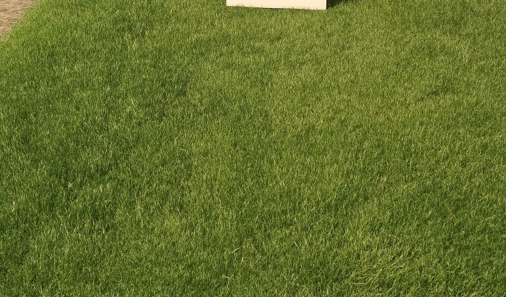 Zoysia grass in its natural forest habitat